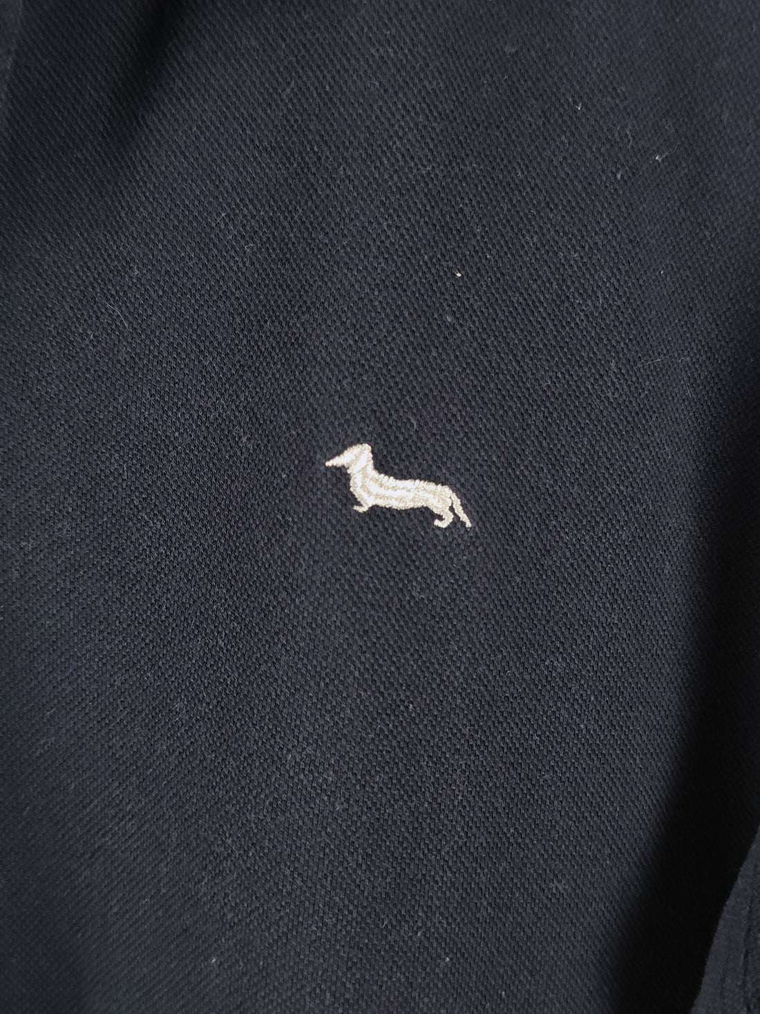 Polo Harmont&Blaine